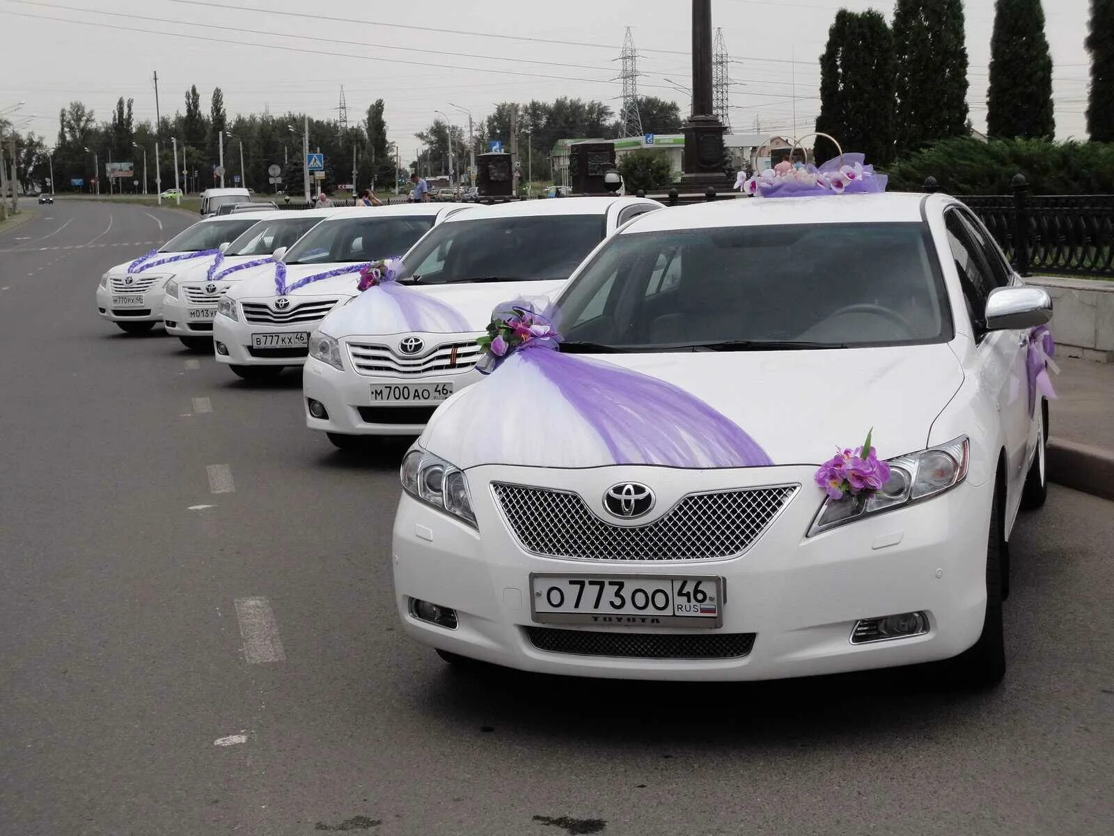 Аренда авто железногорск. Железногорск курская область прокат авто bn. Автомобиль напрокат в курске без водителя. Аренда авто курск. Машина шкода октавия украшенная на свадьбу.