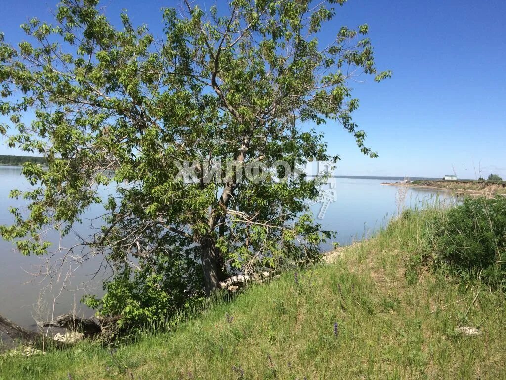 Рогалево ордынский