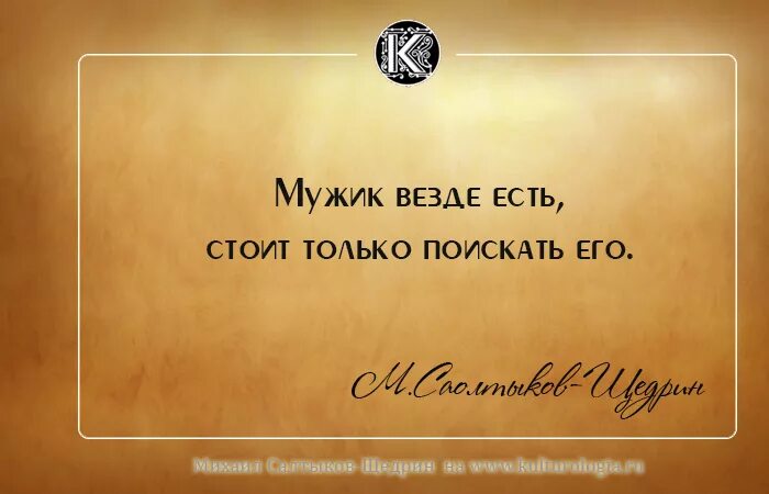 Народ надо держать в постоянном изумлении. Власть должна держать народ в изумлении. Цитаты Салтыкова-Щедрина. Держать народ в состоянии постоянного изумления. Метка фраза