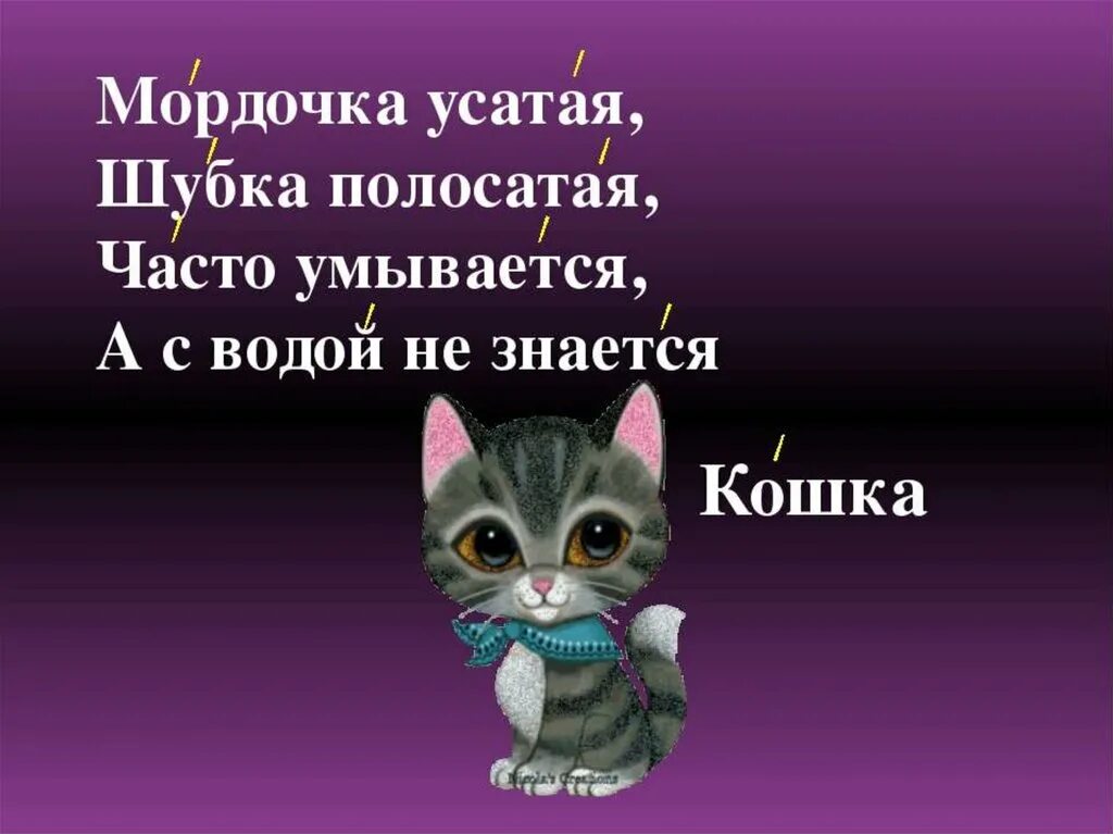 Часто умывается а с водой не знается. Мордочка усатая шубка полосатая загадка. Мордочка усатая шубка полосатая часто умывается а с водой. Кошечка усатая шубка полосатая. Мордочка усатая.