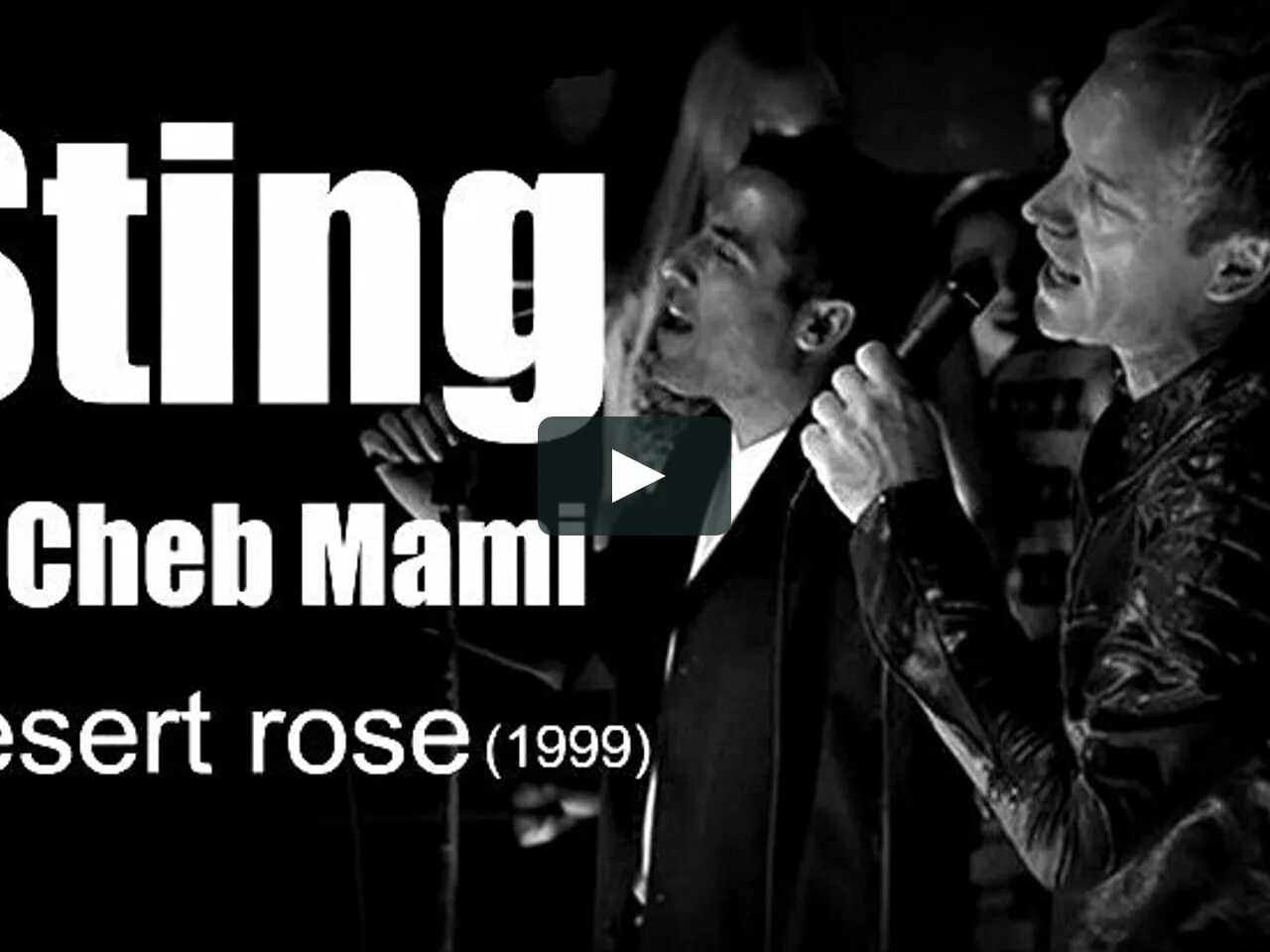 Sting desert rose обложка. Sting в пустыне. Стинг десерт розе. Музыка sting desert rose. Sting обложка.