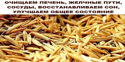 Неочищенный овес для печени