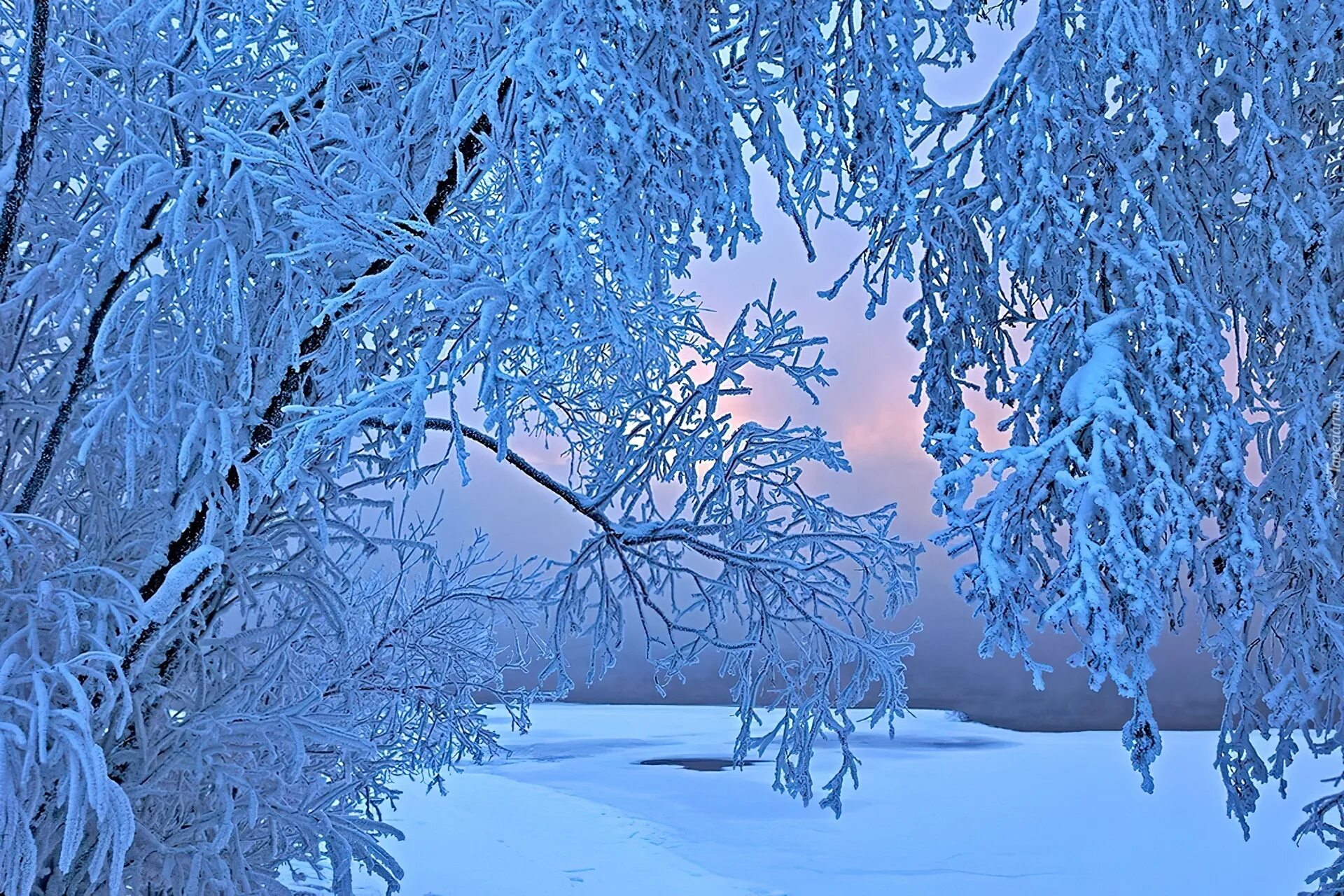 Красивая зима. Снежная зима. Зима картинки. Зимняя красота.