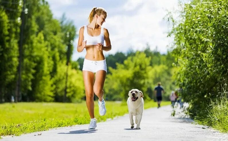 Бегать на голодный желудок. Девушка на пробежке в парке. Девушка на пробежке с собакой. Утренняя пробежка. Спортивная девушка в парке.