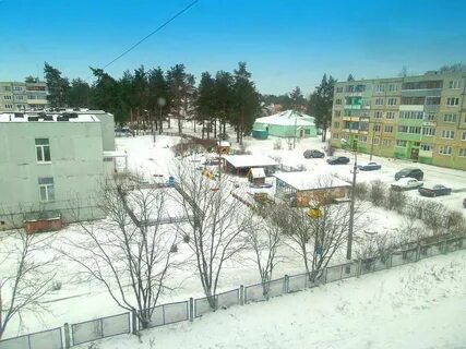 Осаново дубовое