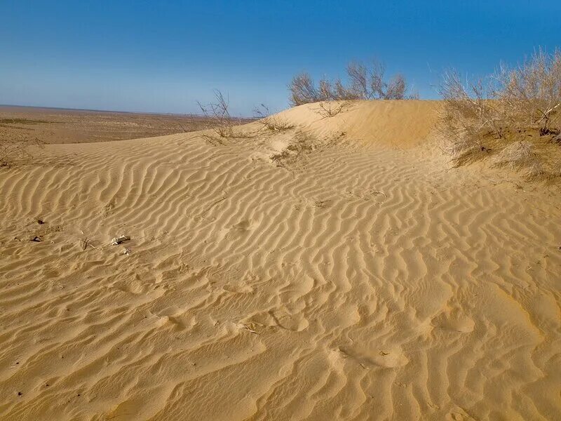 Барханы в каракумах. Кратер дарваза в туркменистане. В центре пустыни каракумы. Каракумы кызылкум. Ярданги, дюны, барханы.