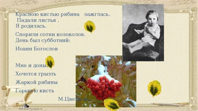 Цветаева рябина. Красною кистью рябина зажглась. Цветаева красною кистью рябина зажглась. Красною кистью.