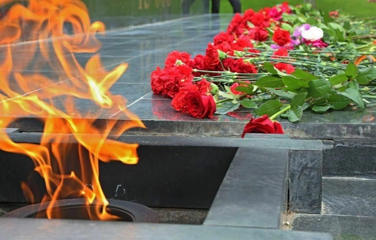 Сохранение памяти о жертвах фашизма. Вечный огонь. Цветы у вечного огня. Гвоздики у вечного огня. Вечный огонь памяти.
