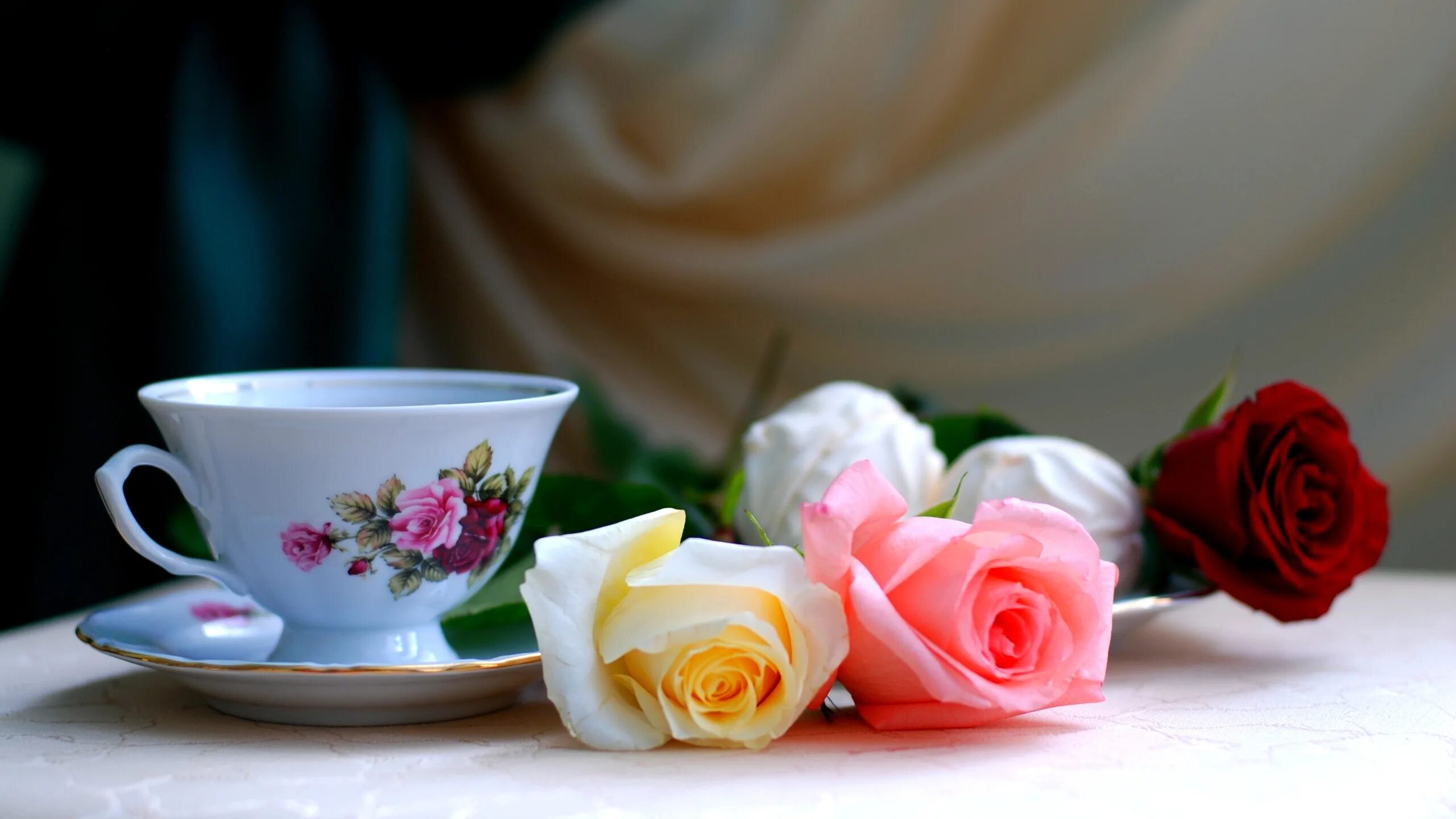 Утренние цветы. Красивые цветы в чашке. Цветы в кружке. Цветы на столе. Rose cup