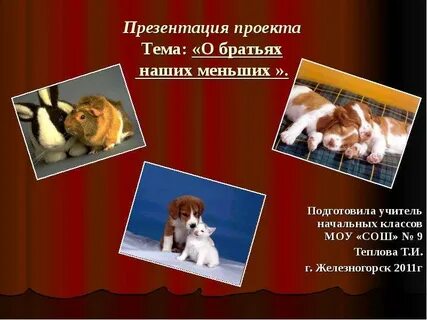 Наши меньшие братья класс