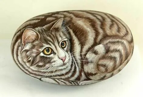 Коты большой камень