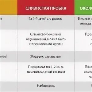 Если воды отошли через сколько рожать. Отходит пробка перед родами. Отхождение вод при беременности. Каким цветом отходит пробка. Цвет вод при отхождении.