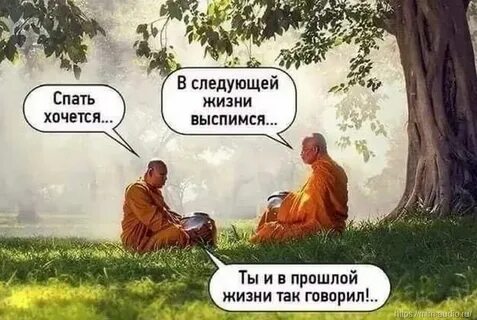 Я не буду опускать руки дзен