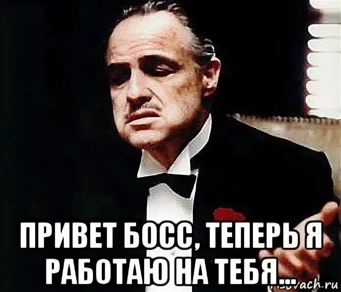 Босс моего бывшего читать без регистрации. Привет босс. Привет босс картинки. Теперь ты босс. Босс прикол.