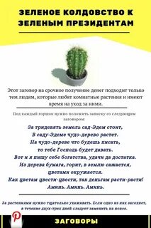 Заговорить цветок