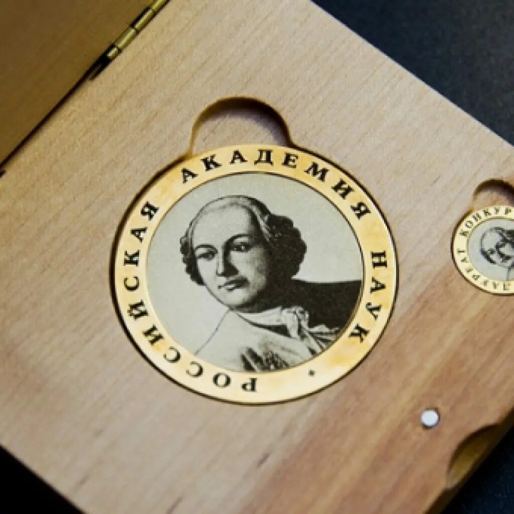 медаль молодым ученым ран. медаль российская академия наук. золотая медаль академии наук ссср. медаль ран для молодых учёных. медаль ран для молодых учёных.