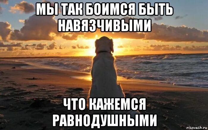Бояться бывшего
