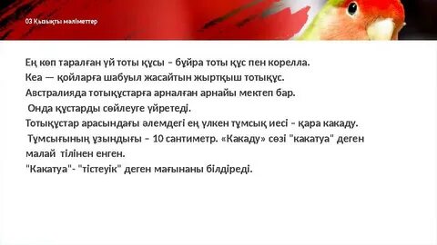 Жаңа бөтен порно видео