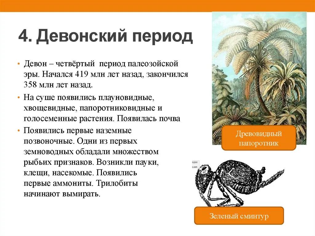 Жизнь на суше появилась. Девон характеристика периода. Периоды палеозоя Девон. Палеозойская Эра Девонский период характеристика. Эра палеозой период Девон.