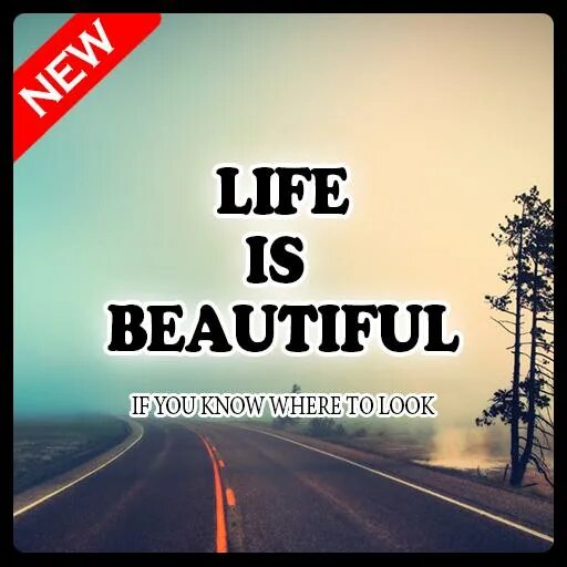 Со бьютифул лайф. Beautiful life quotes. beautiful life перевод. лайф он бьютифул. итс бьютифул лайф перевод.