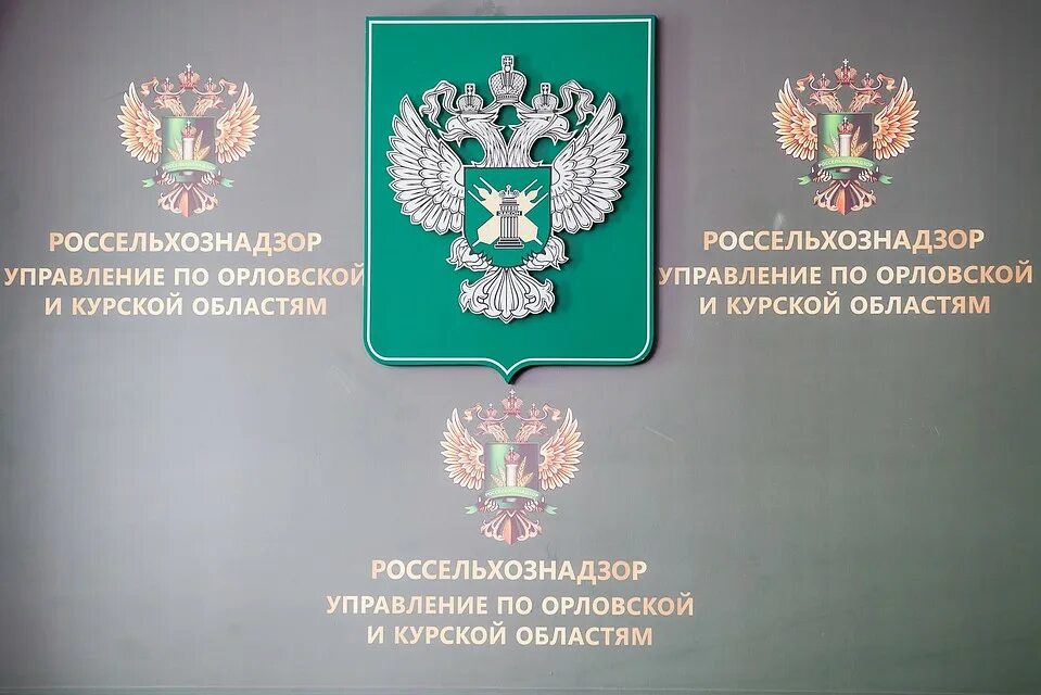 Россельхознадзор тамбов. Россельхознадзор орел. Орловский россельхознадзор. Орловский россельхознадзор. Управление россельхознадзора по орловской и курской областям.