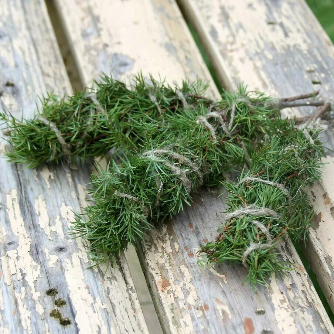 скрутки трав для окуривания. крапива окуривание. можжевельник полынь. шаманский артыш. полынь ведьмина трава.