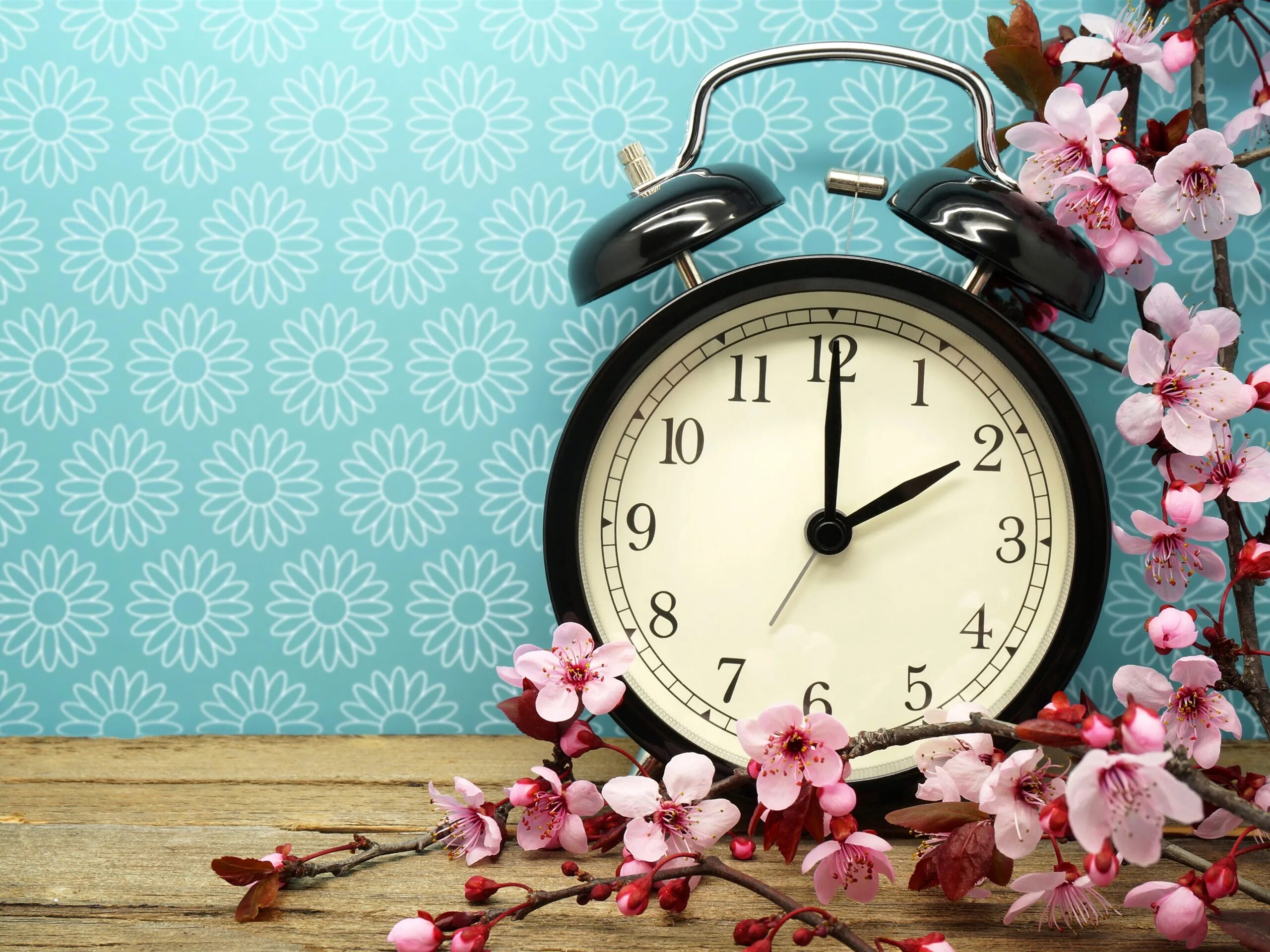 Часы и время. Весенние часы. Красивые высказывания о времени. Поздравляю время. Пожелания доброго дня.