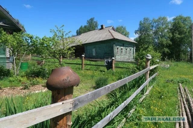 Деревня визяй фото видео Купить дом 36м² Вологодская область, Череповецкий район, Мяксинское муниципально