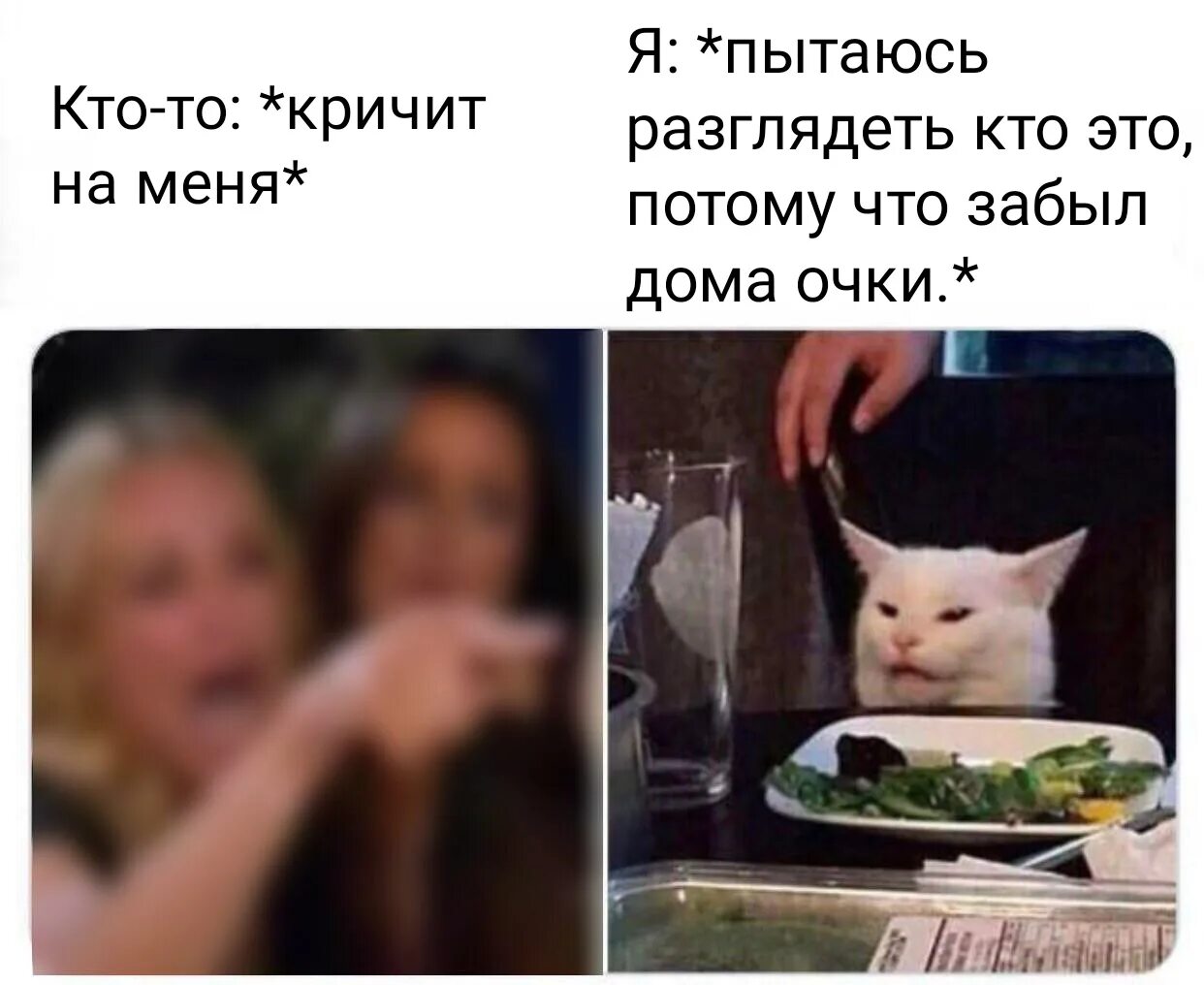 Пытается разглядеть. Плохое зрение с котом шуточное. день плохого зрения прикол с девушкой и котом. мем про на плохое зрение женщина и котик. кот пытающийся что-то разглядеть.