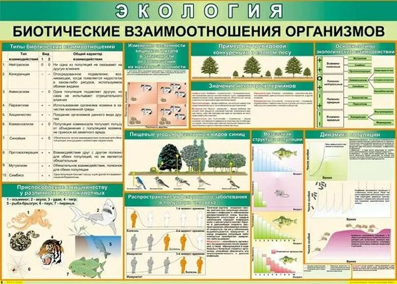 Биотические взаимодействия сколько групп. Биотические взаимоотношения организмов. Биотические взаимоотношения организмов таблица. Биотические взаимоотношения таблица. Примеры биотических взаимоотношений организмов.