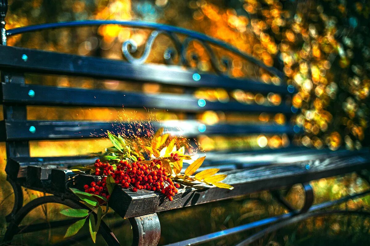 диктант лето кончилось. кончается лето все ярче костры листопада. осеннее настроение. осенний день.