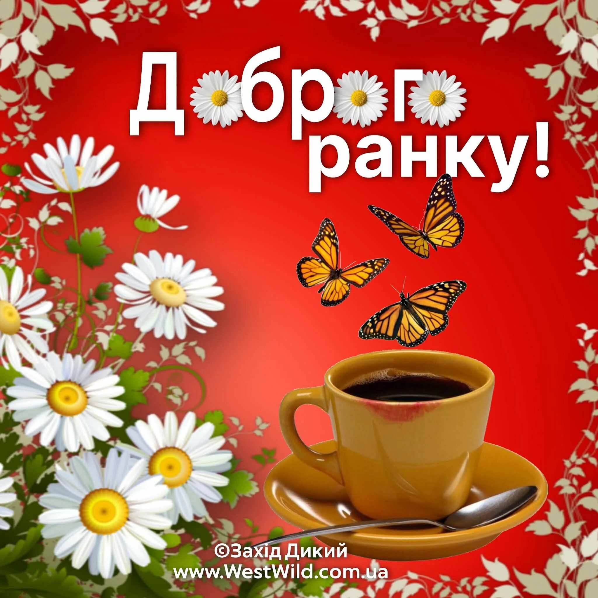 Доброго утра на украинском открытки. Доброго ранку. Доброго ранку Сонечко. Доброго ранку картинки. Доброго Суботнього ранку.