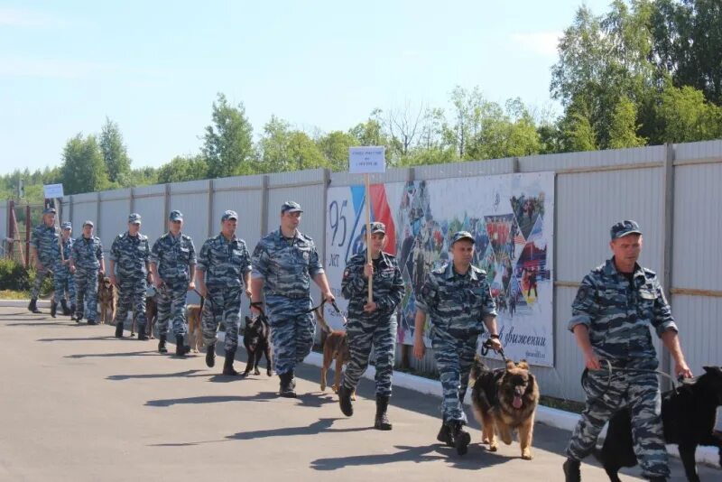 Сколько лет кинологической службе в 2025