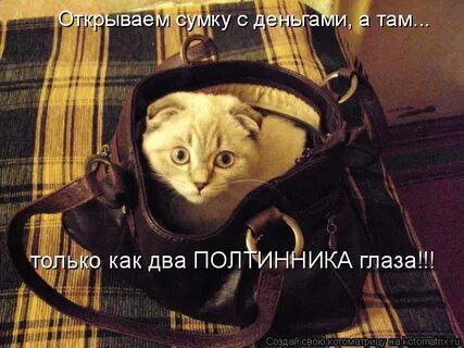 Толи там