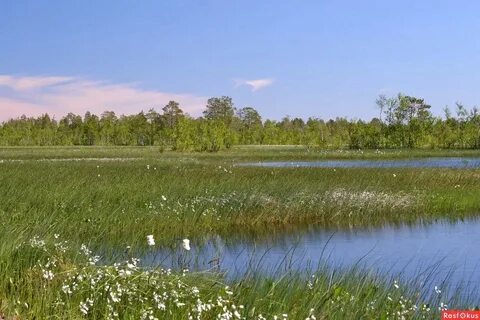 Когда в иркутске полдень в городе