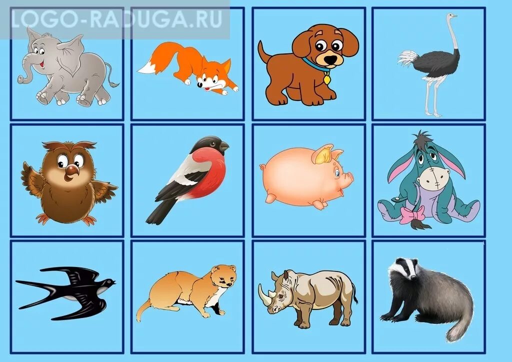Летает ползает плавает