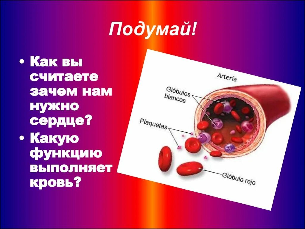 Какую функцию выполняет маска. Зачем нужно сердце. зачем нужно сердце человеку. какие функции выполняет кровь.