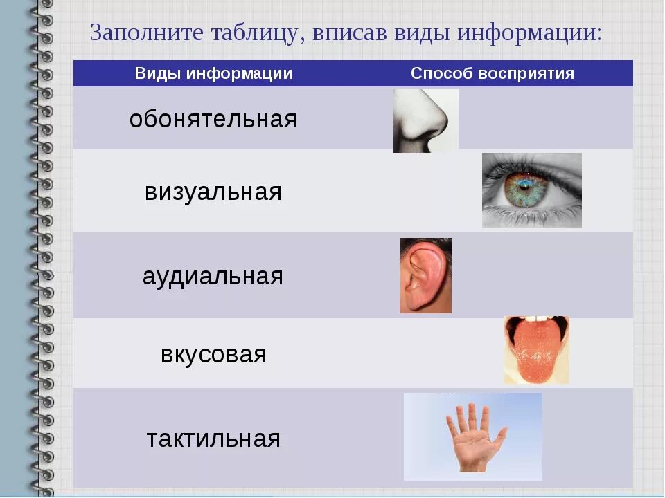 Дайте определение восприятия информации. Способы восприятия человека. Способы восприятия информации. Восприятие информации человеком. Виды информации.