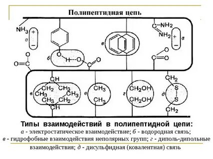 Связи между радикалами