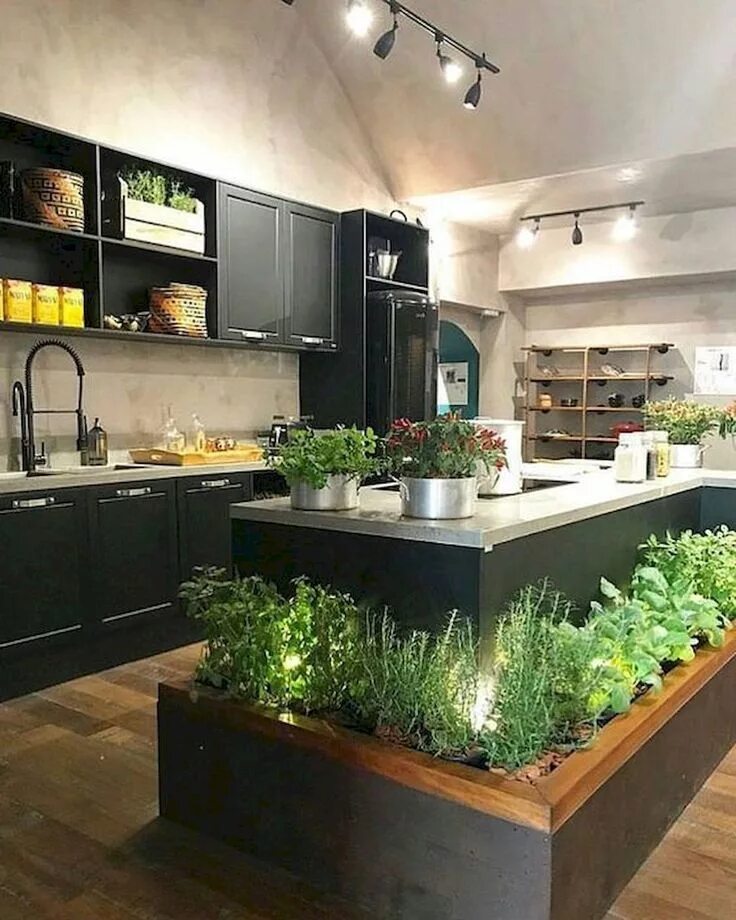 Гарден Китчен Garden Kitchen. Дизайнерские решения для кухни. Интерьер кухни. Растения в интерьере кухни.