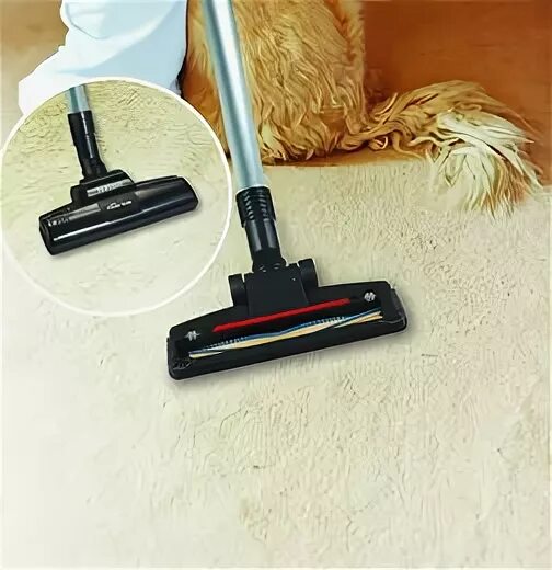 Турбощётка для пылесоса bosch proanimal. Пылесос с турбощеткой для уборки шерсти животных. Hair vacuum пылесос. Пылесос бош для уборки шерсти животных. Турбощетка animal для сбора шерсти.