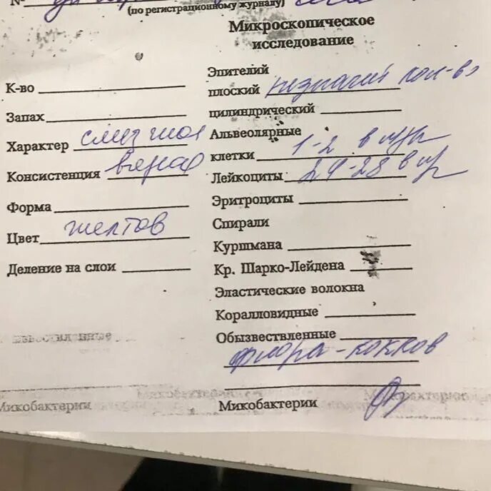 Мокрота отрицательно