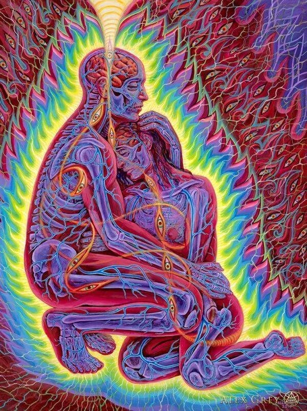 Художник алекс грей alex grey. Алекс грей хоффман. Томаш ален копера картины. Энергетическая близость. Энергетическая близость.