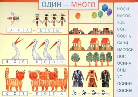 Какой у нас 1 урок