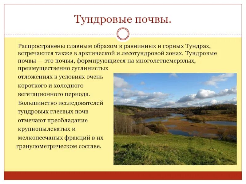 Тундровая почва доклад. Почвы тундры. Сообщение о тундровой почве. Виды почв в тундре. Почвы и их свойства тундры