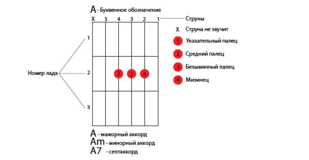 Гитары для начинающих 6 струн с нуля. Игра на гитаре с нуля самоучитель. Как играть на гитаре для начинающих с нуля 6 струн. Гитара для начинающих 6 струн.