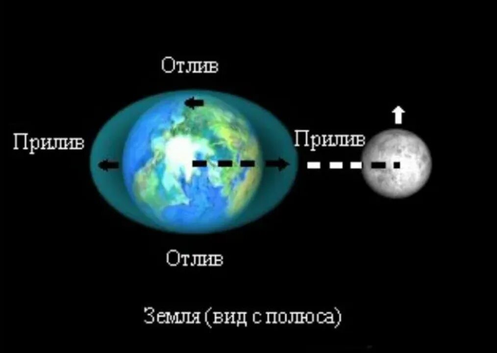 Приливы и отливы вызваны совместным действием луны. Земля Луна отлив прилив схема. Схема приливов и отливов на земле. Схема приливов и отливов от Луны. Приливы и отливы схема.