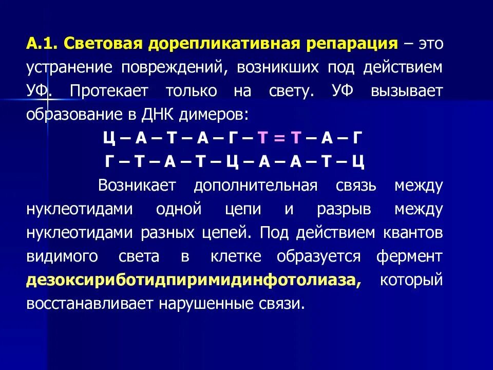 Репарация днк механизм. Репарация днк механизмы репарации. Пострепликативная репарация днк. Пострепликативная (рекомбинантная) репарация. Дорепликативная репарация.