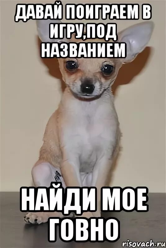 Создать мем Выфв генератор мемов - Рисовач .Ру