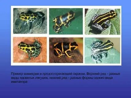 Предостерегающий пример